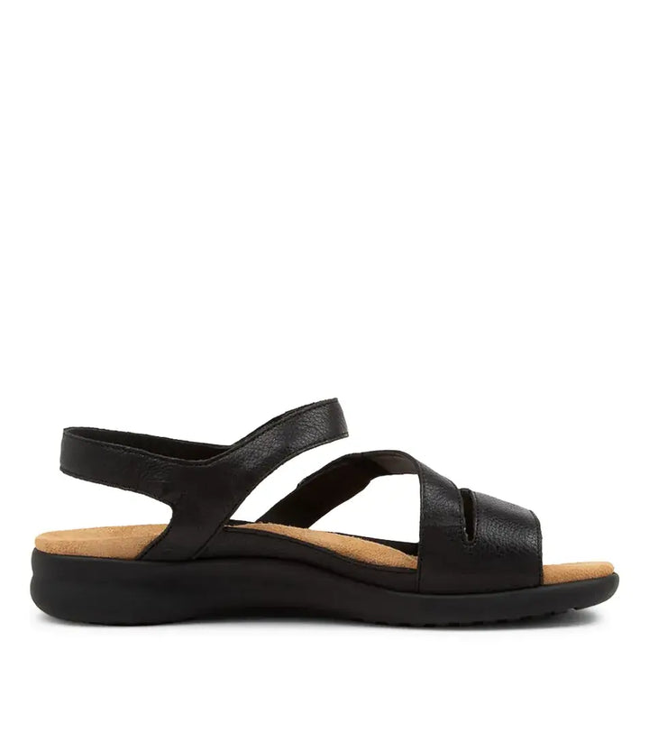 Ziera Boyde XW-ZR Women&